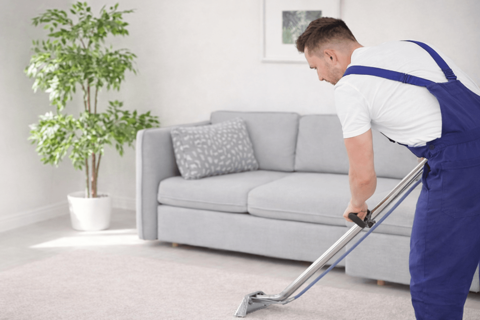 Хімчистка килимів у Тернополі