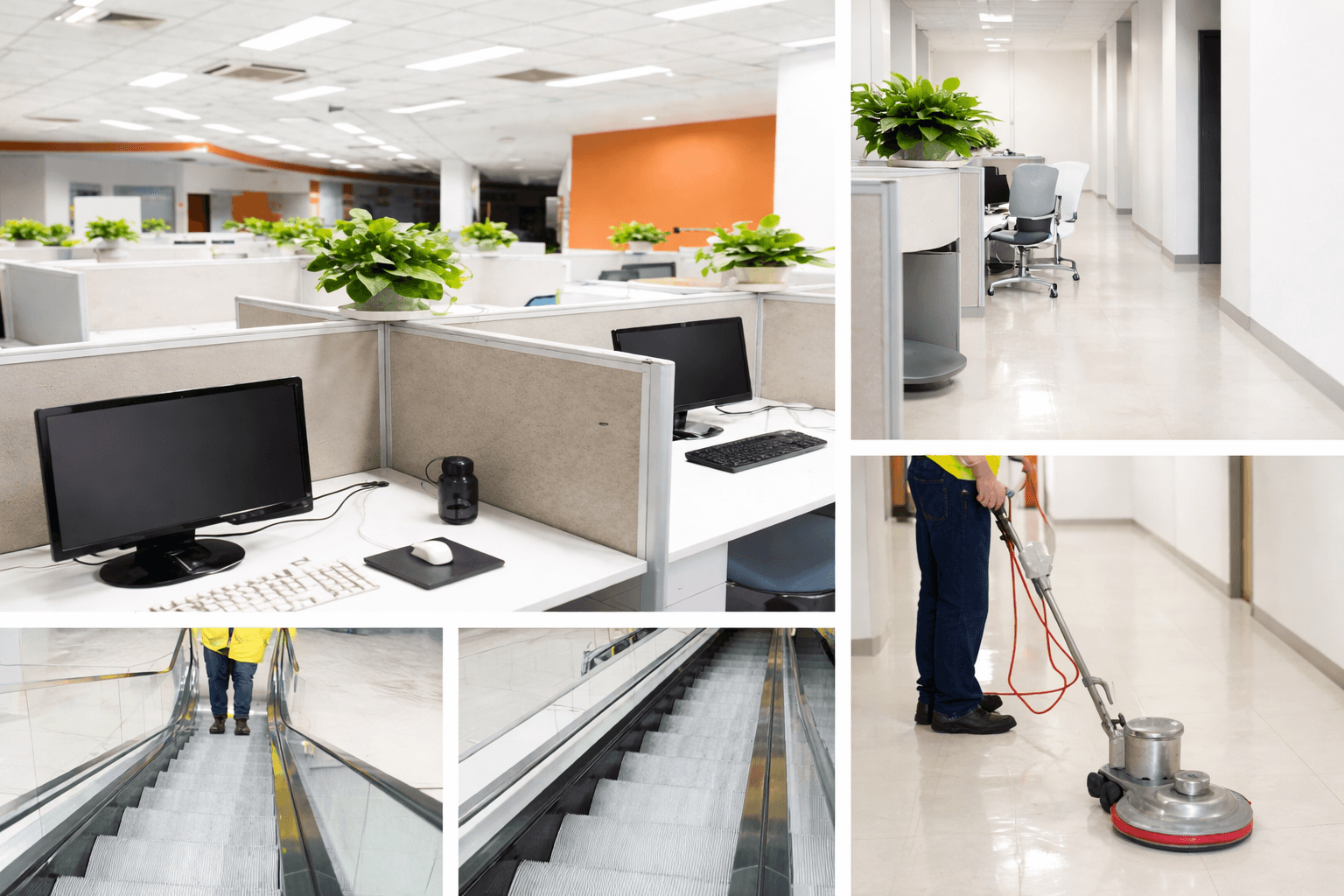 Прибирання офісів Тенрнопіль